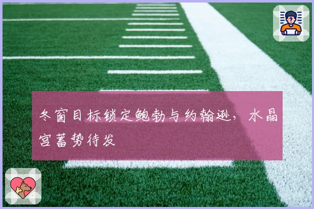 冬窗目标锁定鲍勃与约翰逊，水晶宫蓄势待发