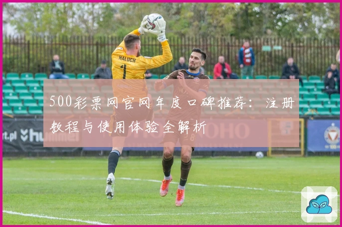500彩票网官网年度口碑推荐:注册教程与使用体验全解析